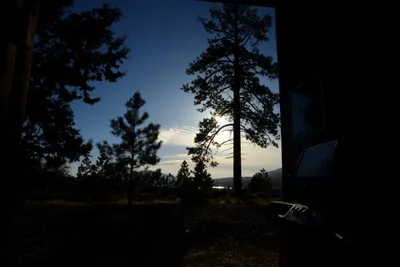 DSC_9871 (Large).JPG